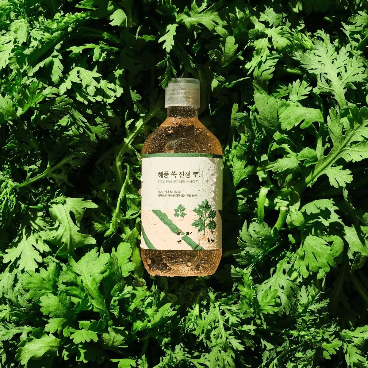 ROUND LAB - Mugwort Calming Toner - 300ml